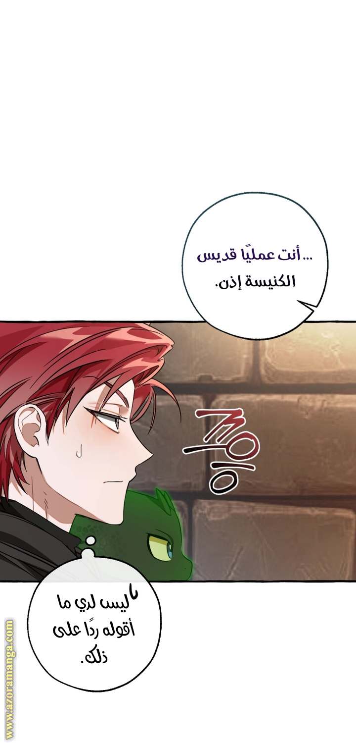 الصفحة 31