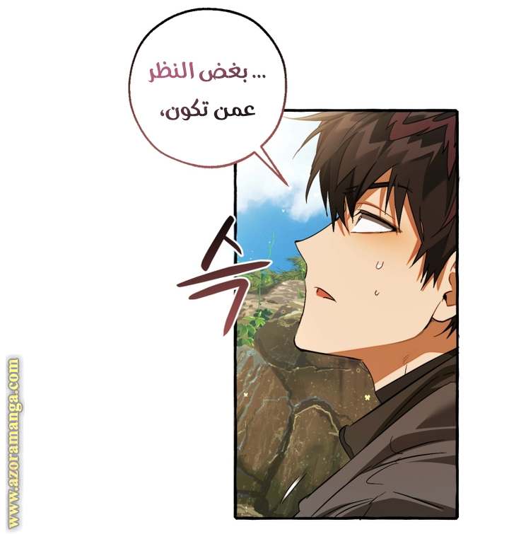 الصفحة 43