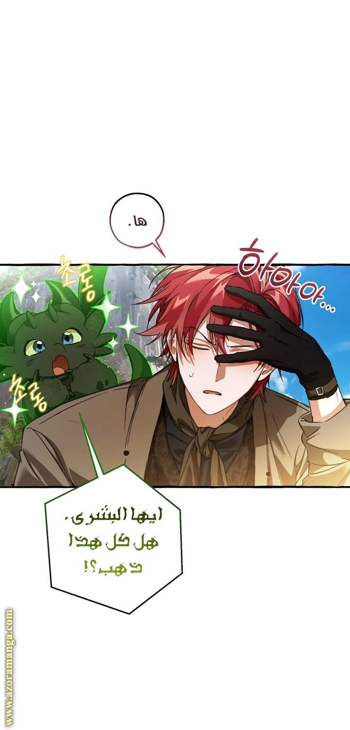 الصفحة 47