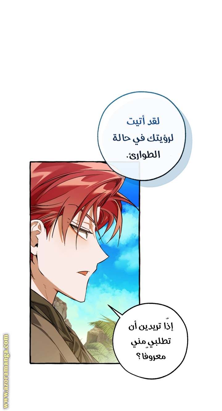 الصفحة 55