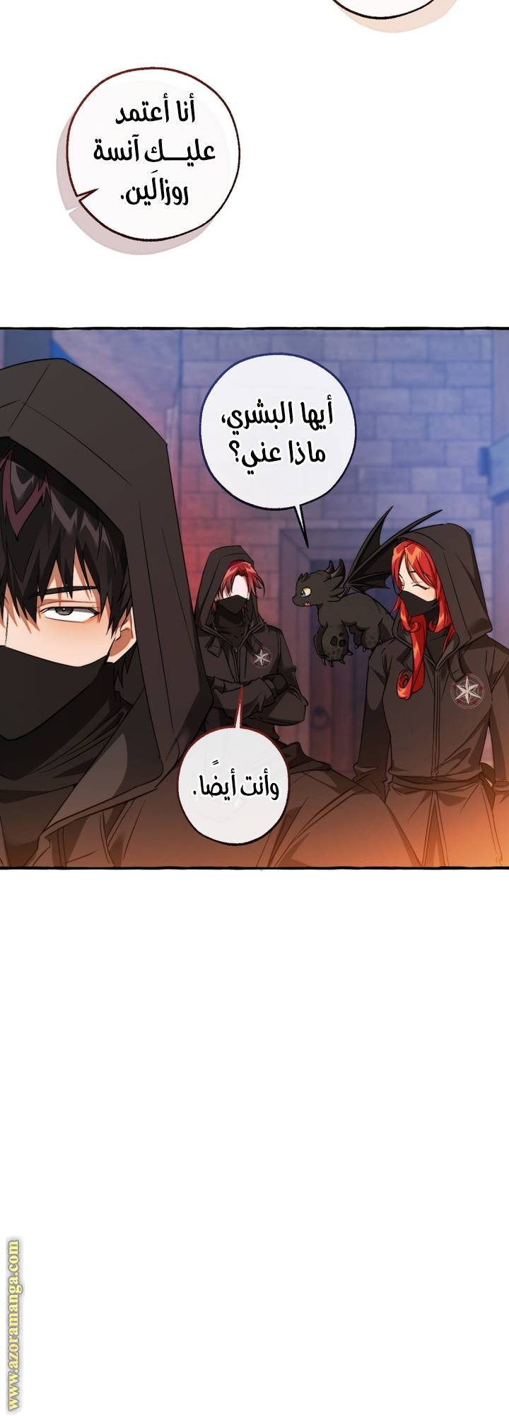 الصفحة 12