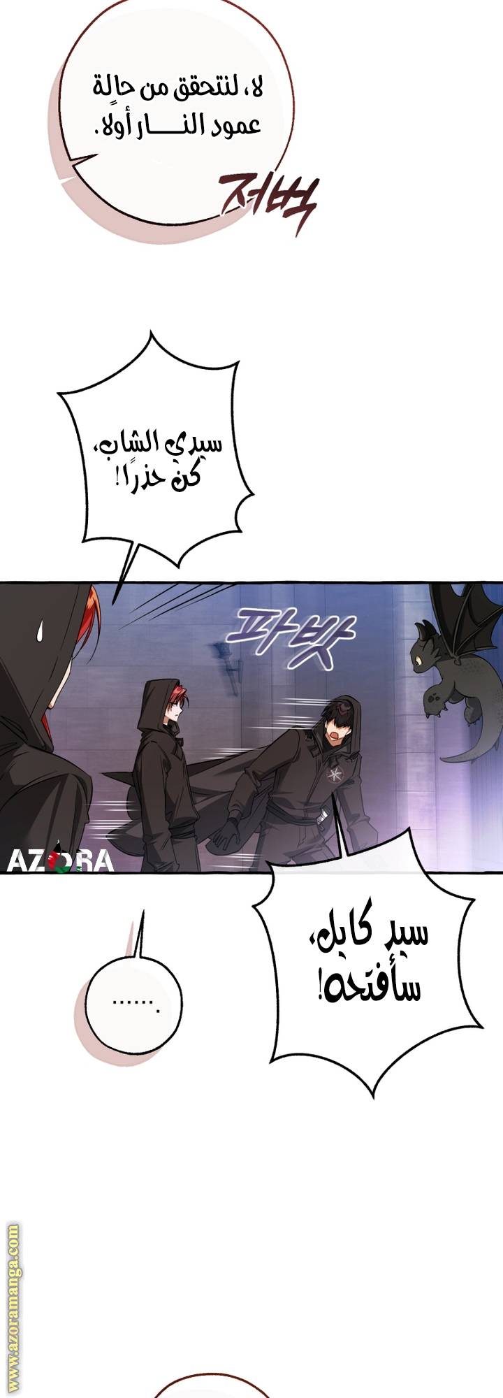 الصفحة 15