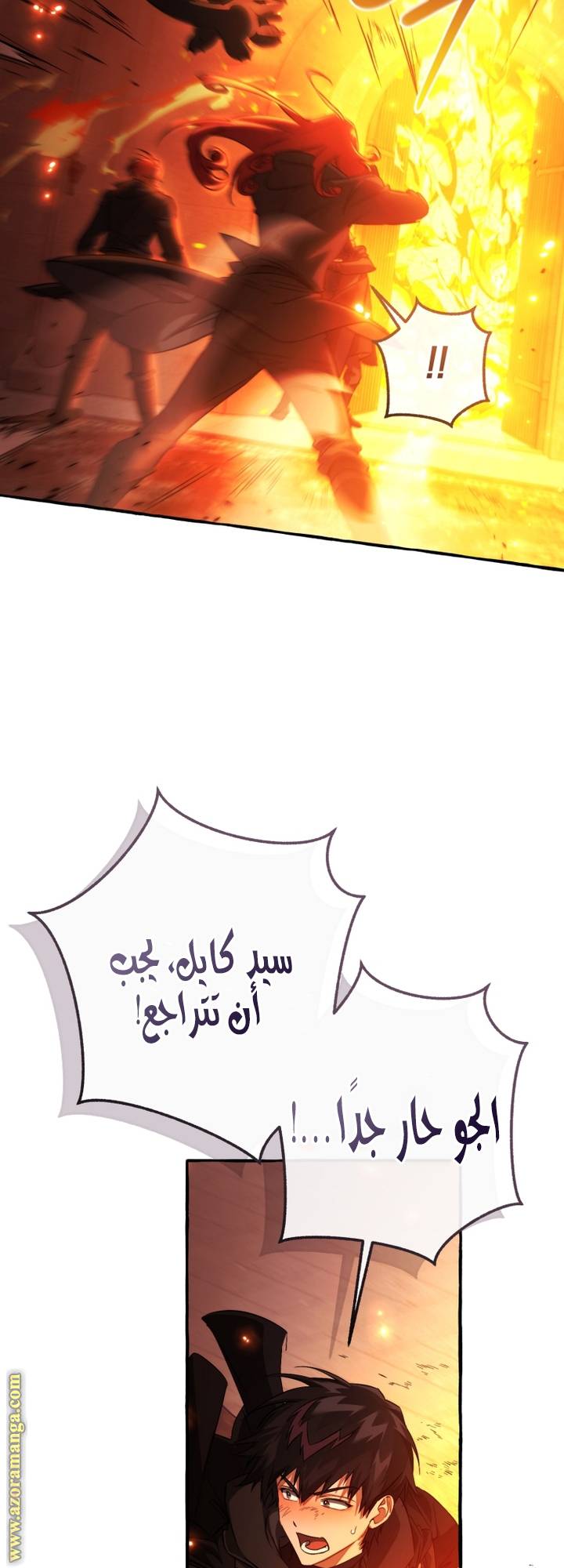 الصفحة 17