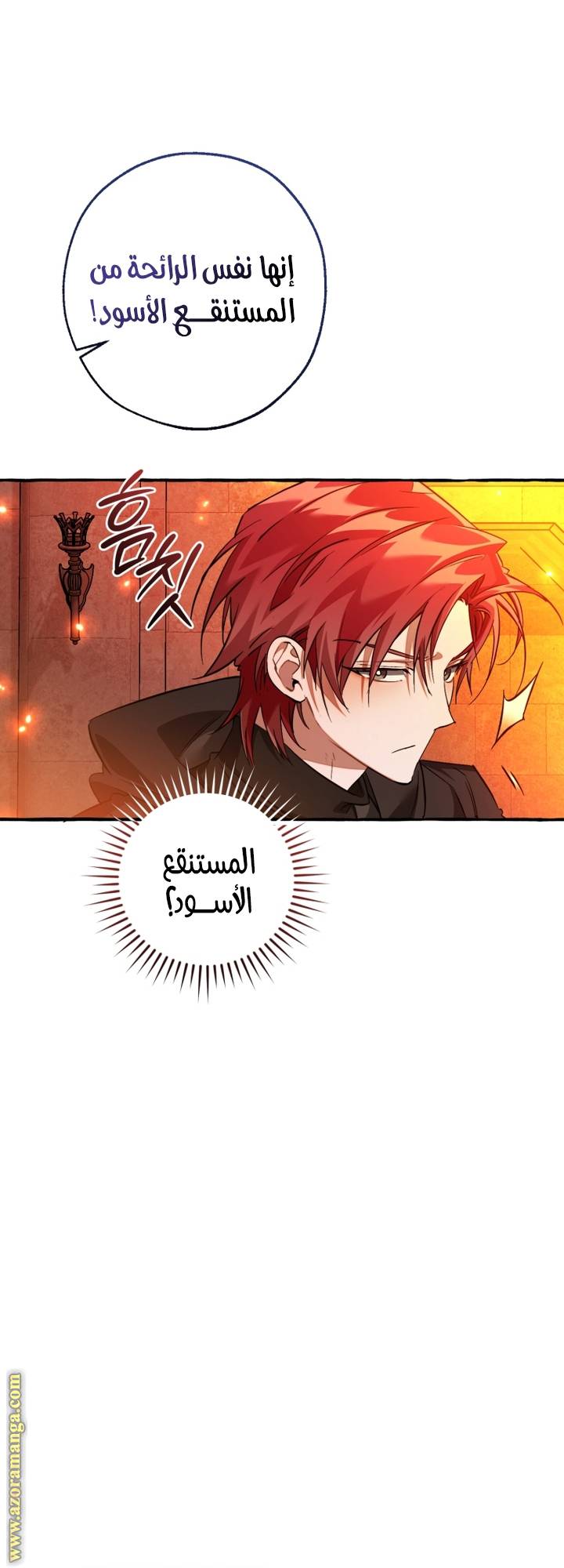 الصفحة 24