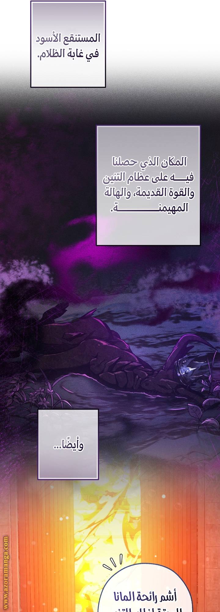 الصفحة 25
