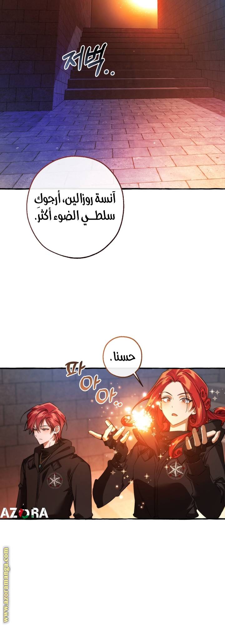 الصفحة 29