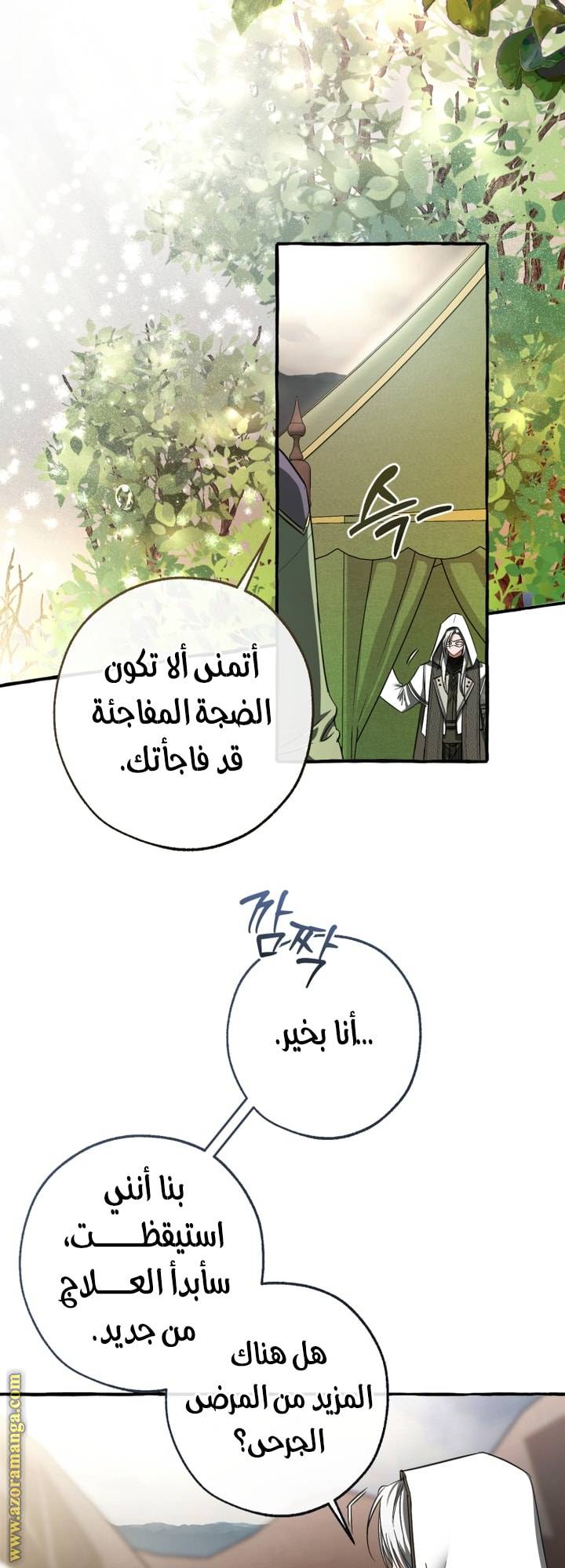 الصفحة 11