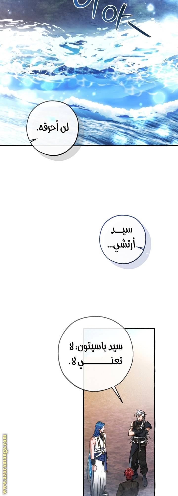 الصفحة 25