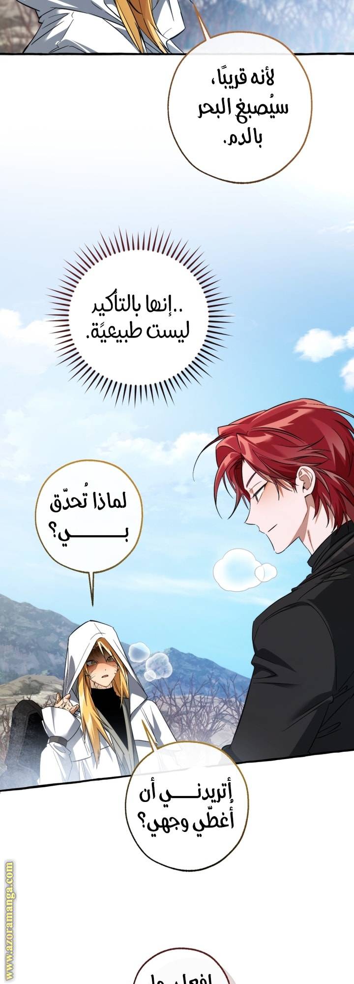الصفحة 29