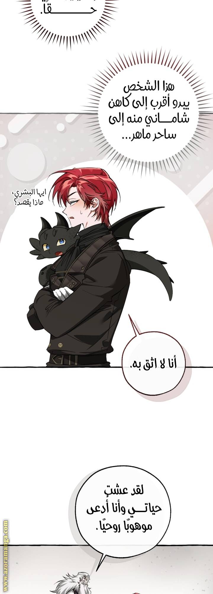 الصفحة 40