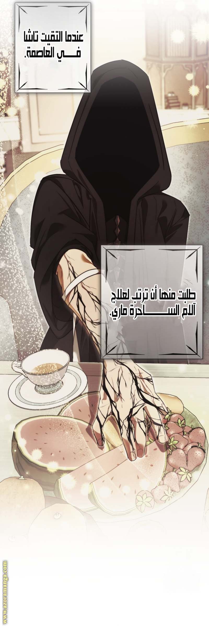 الصفحة 25