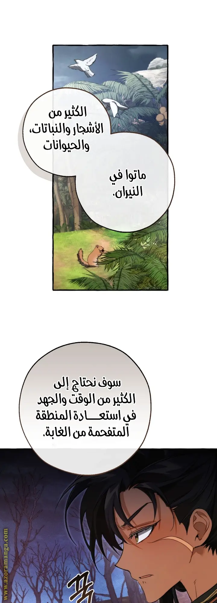 الصفحة 19