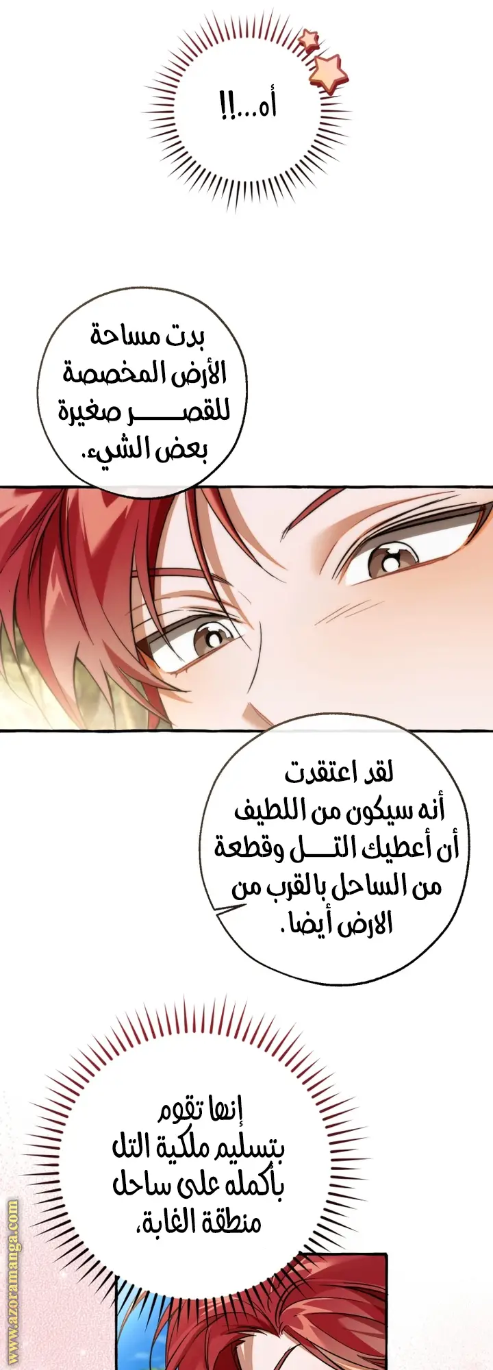 الصفحة 26