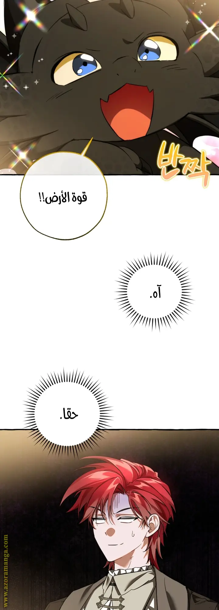 الصفحة 49