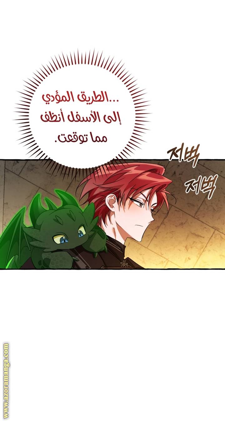الصفحة 52