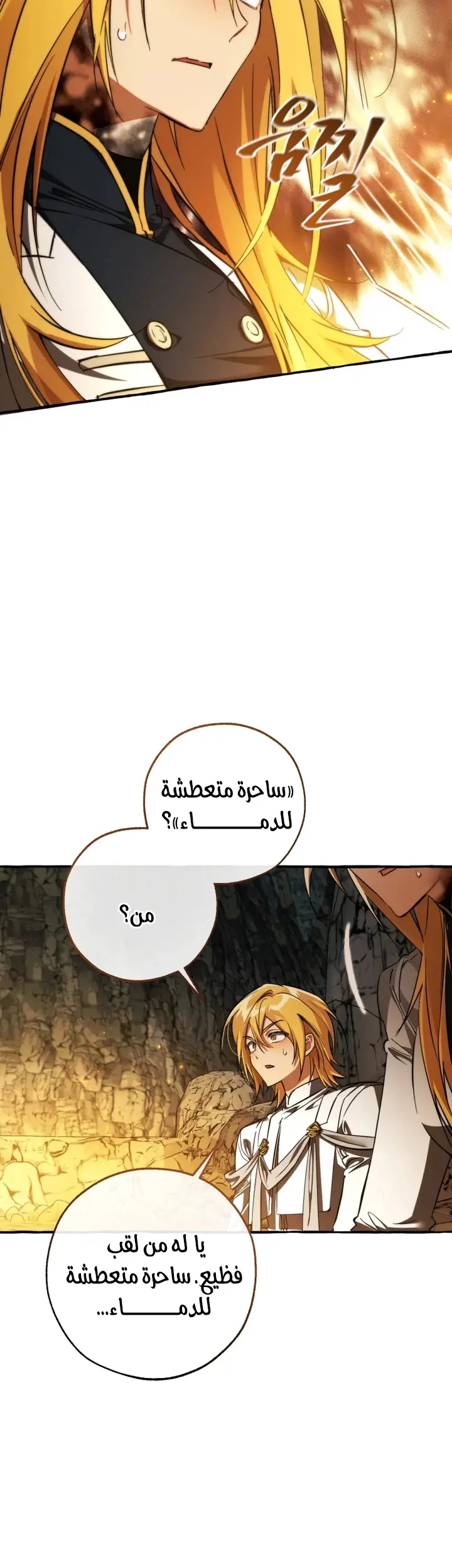 الصفحة 28