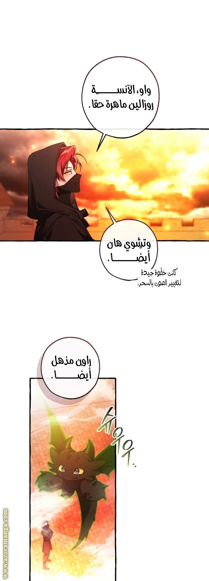 الصفحة 20