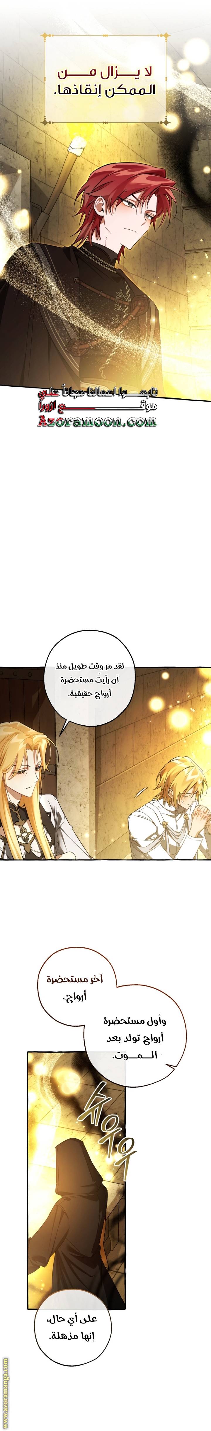 الصفحة 12