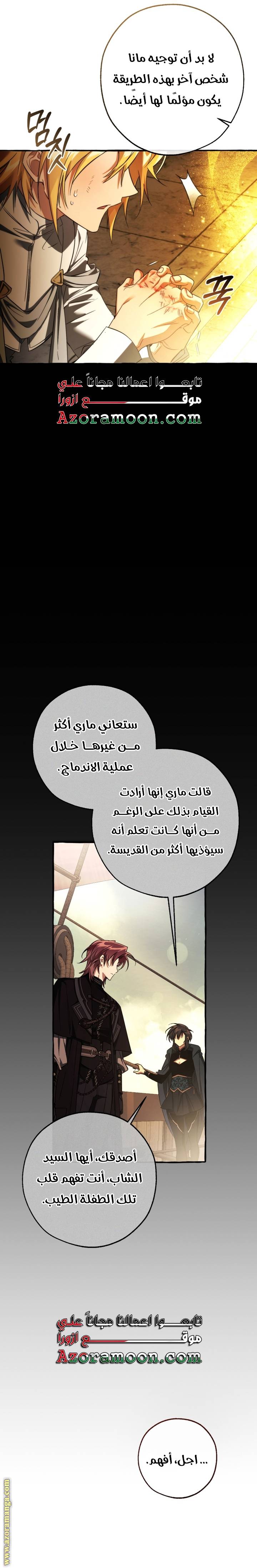 الصفحة 13