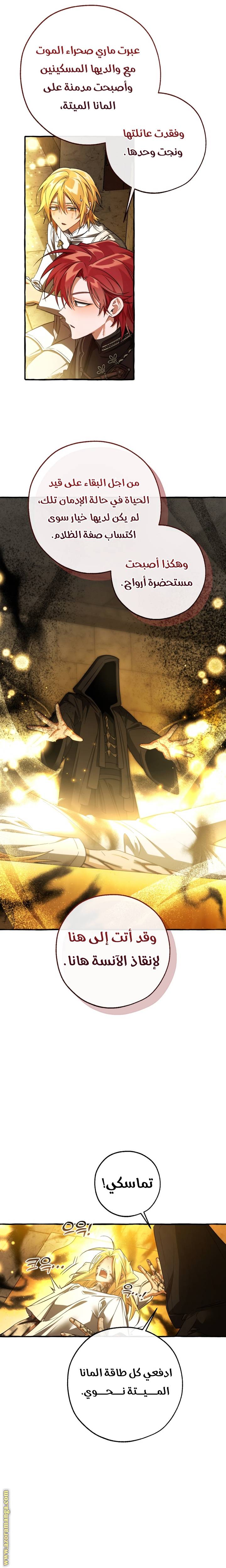 الصفحة 14