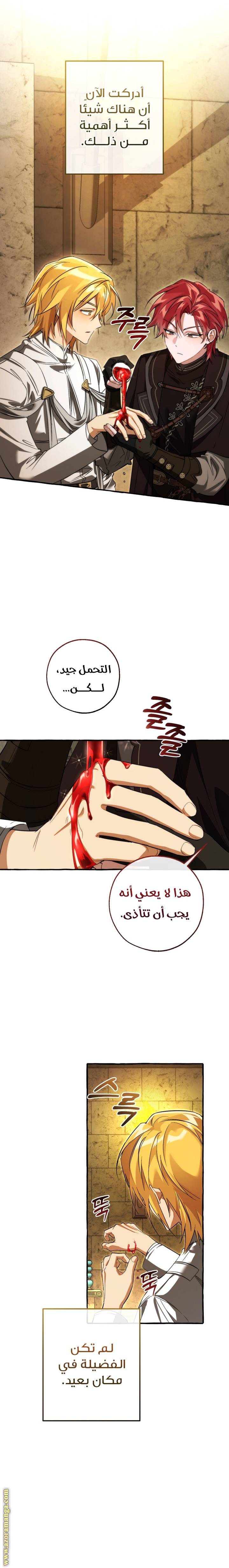 الصفحة 17