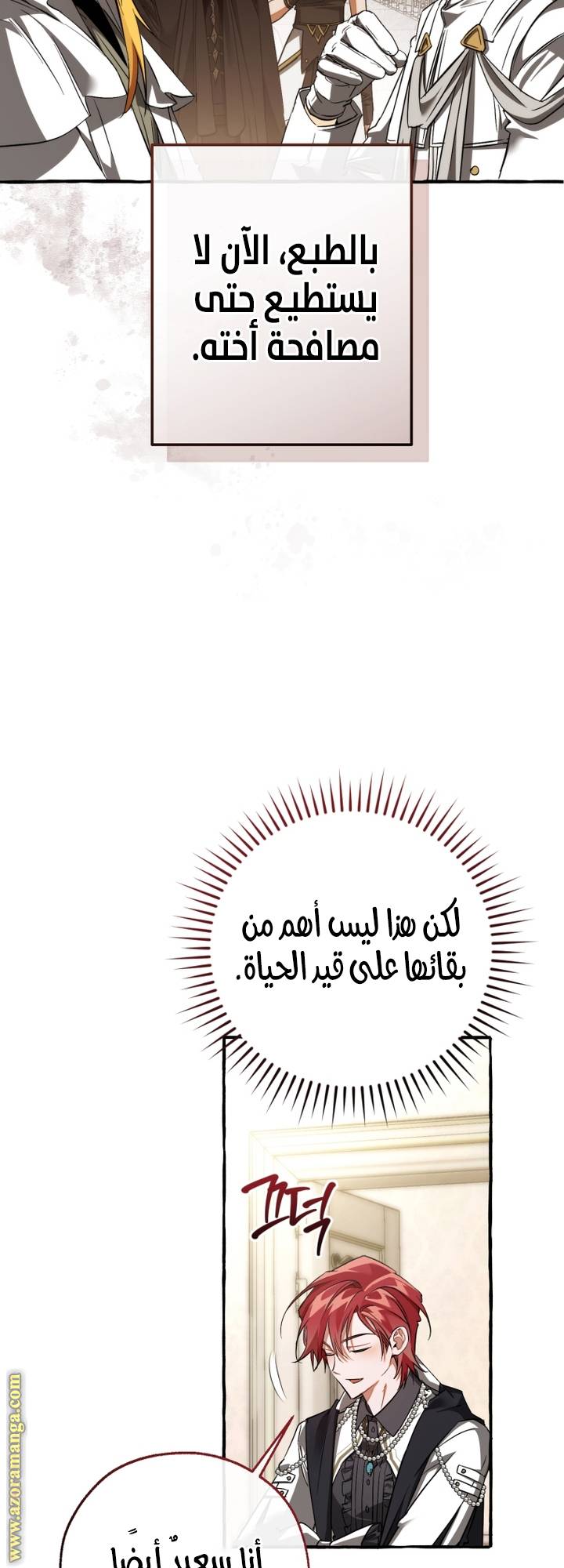 الصفحة 17