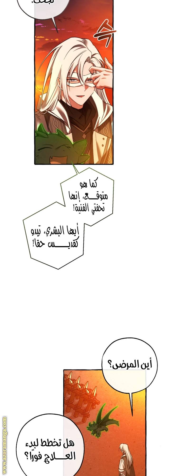 الصفحة 29