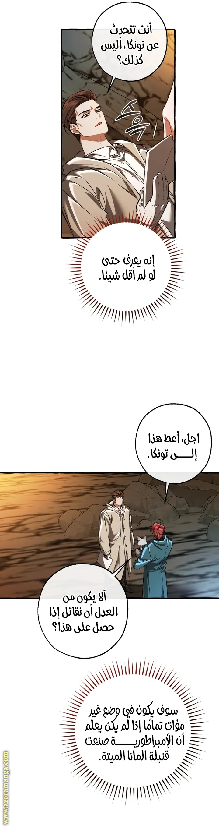 الصفحة 13