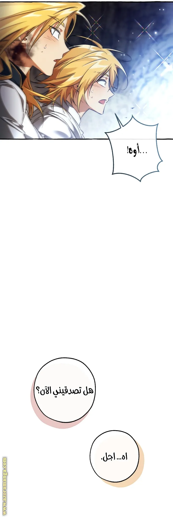الصفحة 30