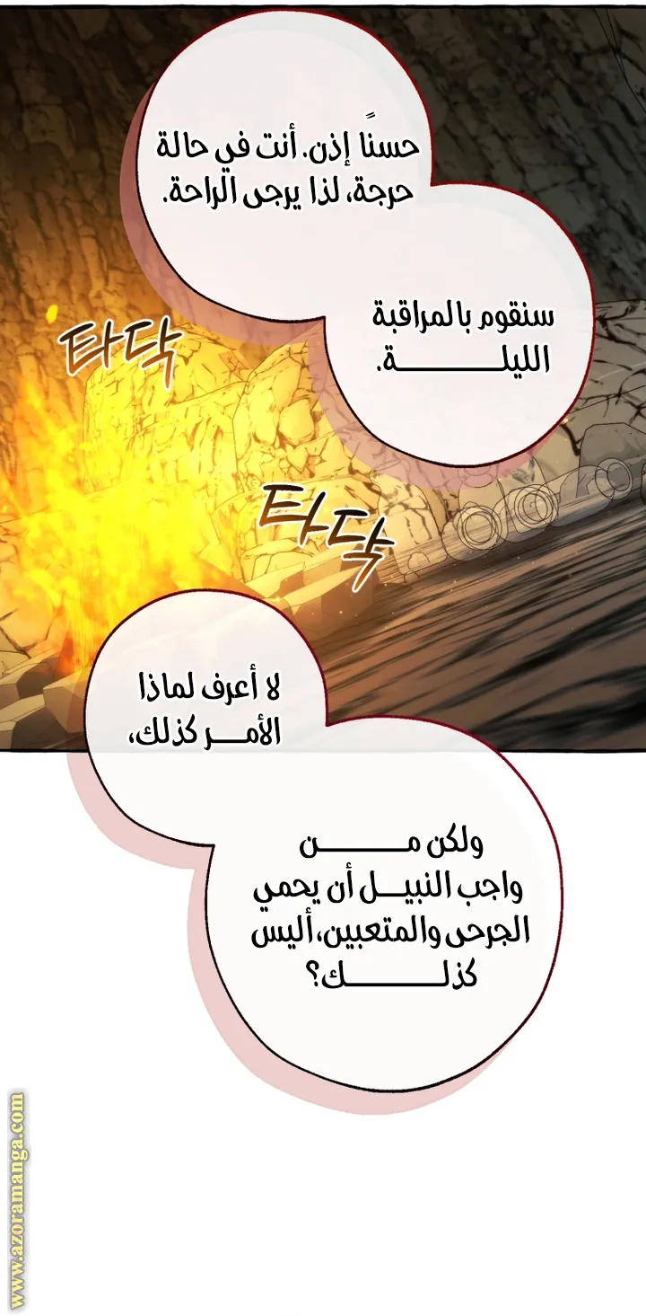 الصفحة 31