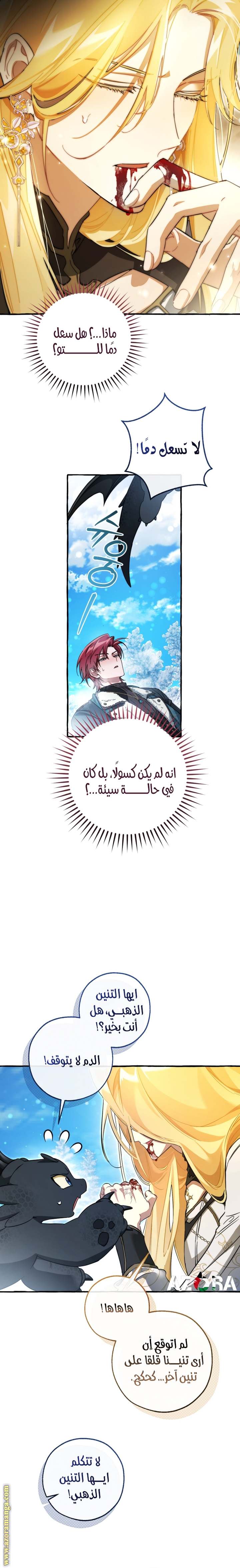 الصفحة 12