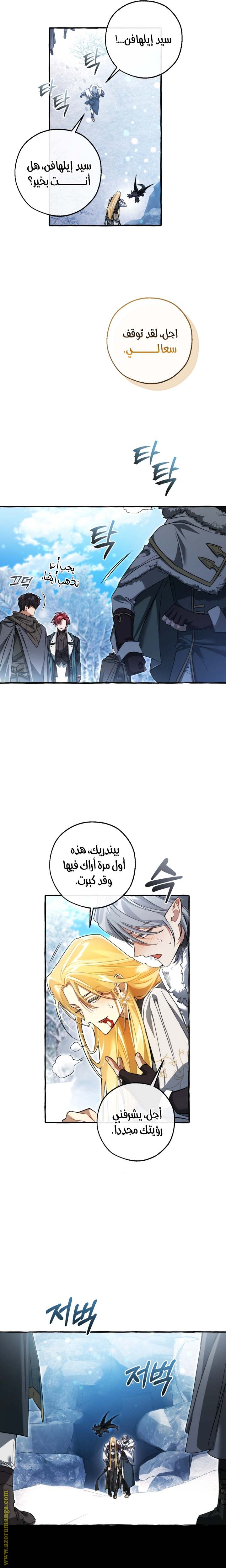 الصفحة 13