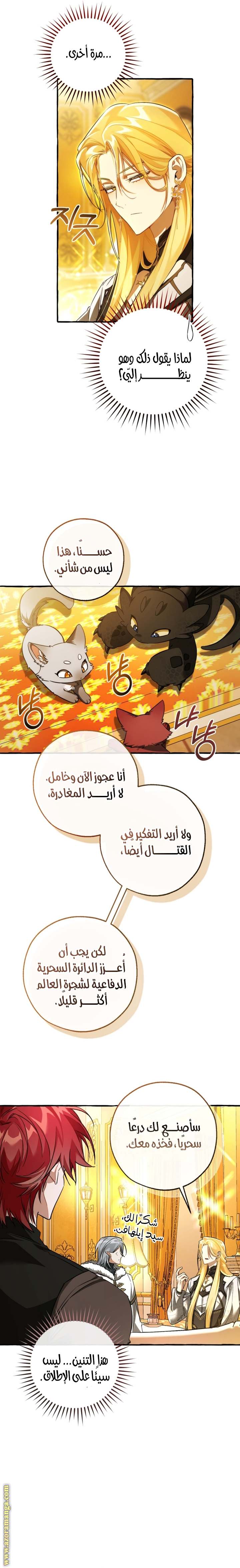الصفحة 21