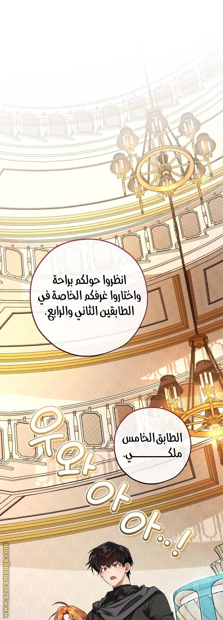 الصفحة 19