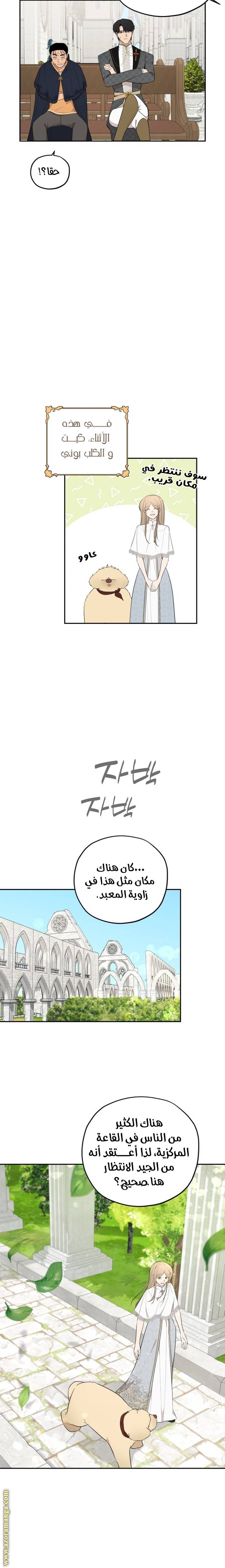 الصفحة 11