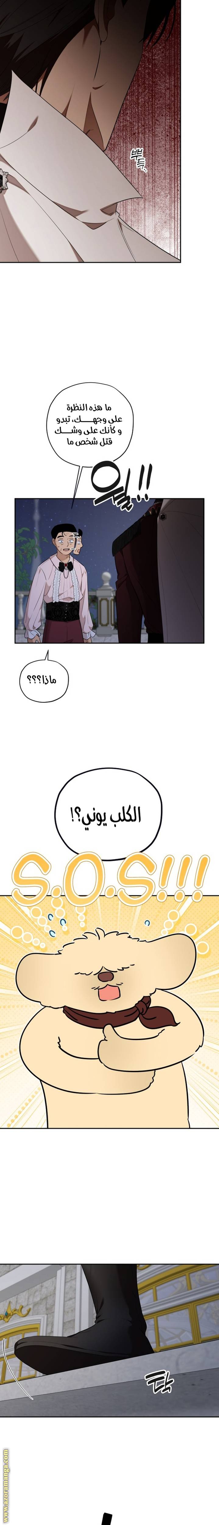 الصفحة 7