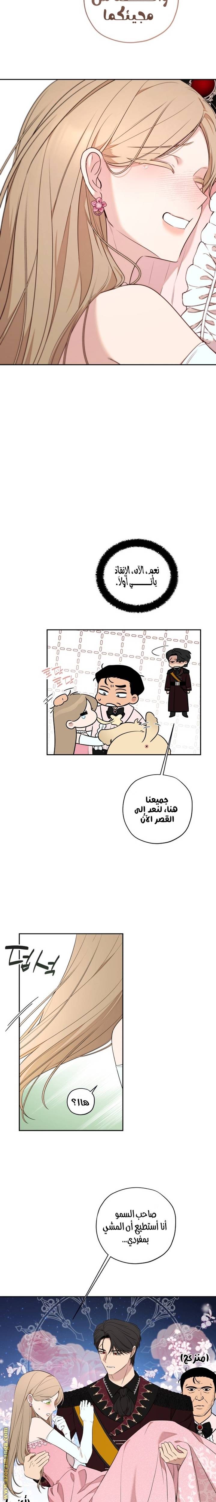 الصفحة 15