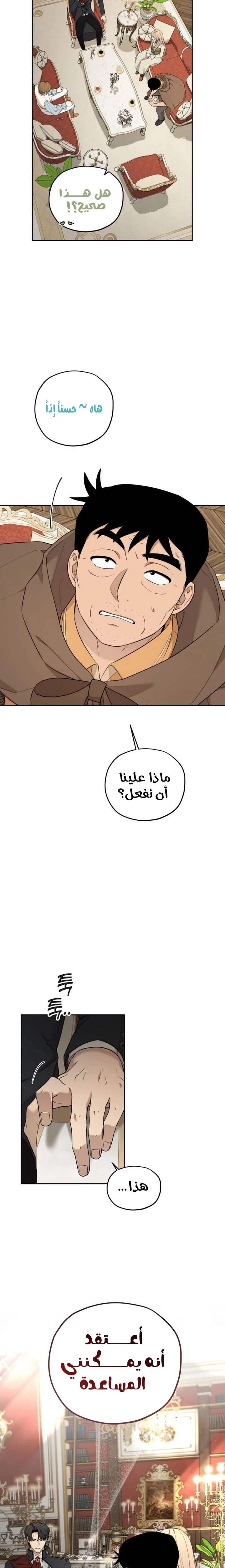 الصفحة 17