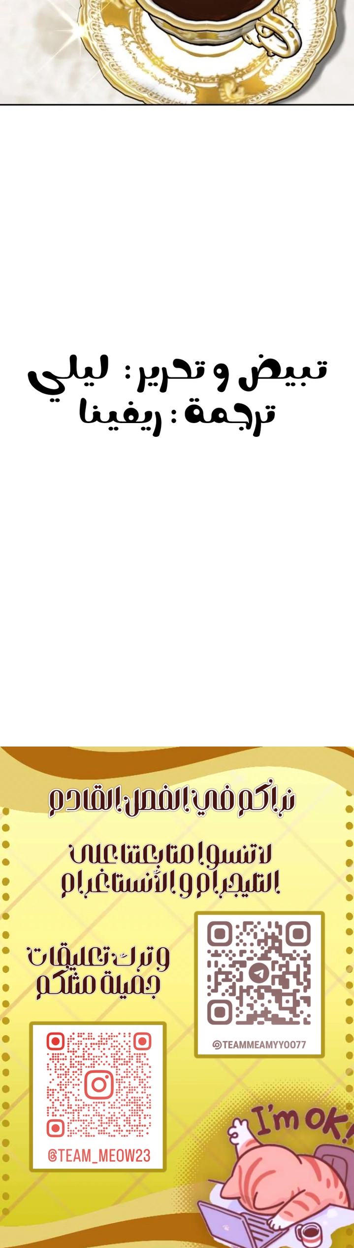 الصفحة 19