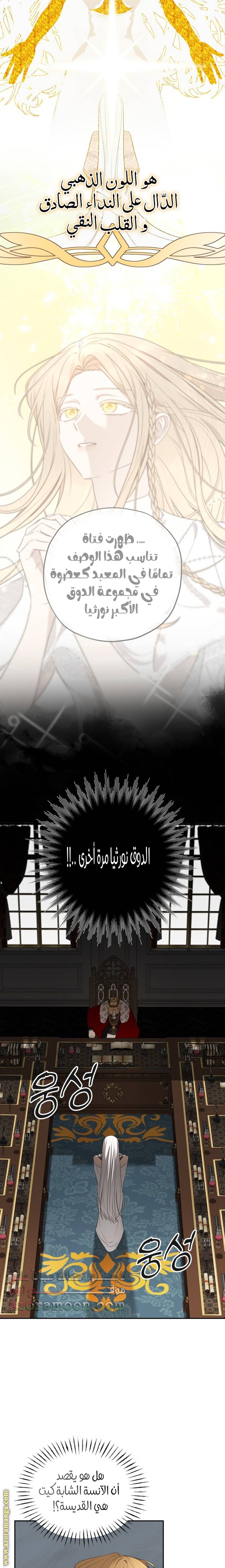 الصفحة 14