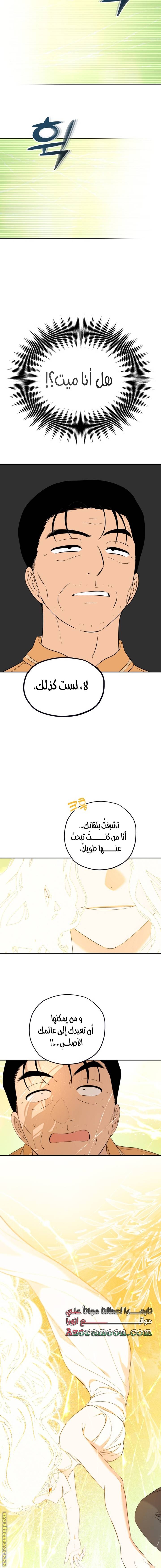 الصفحة 10