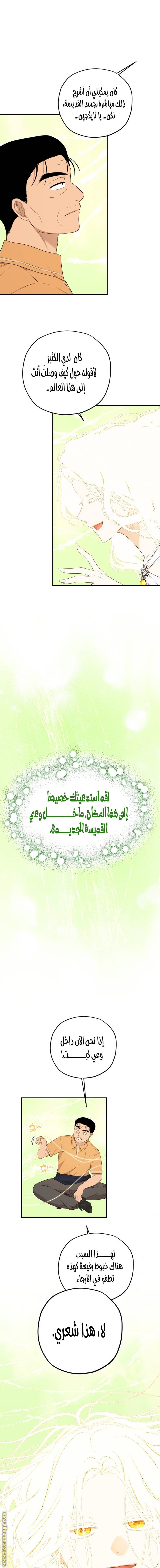 الصفحة 12