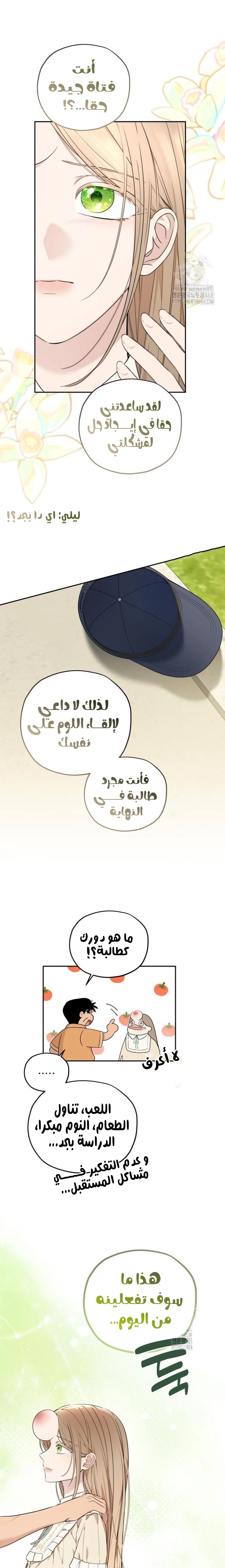 الصفحة 13