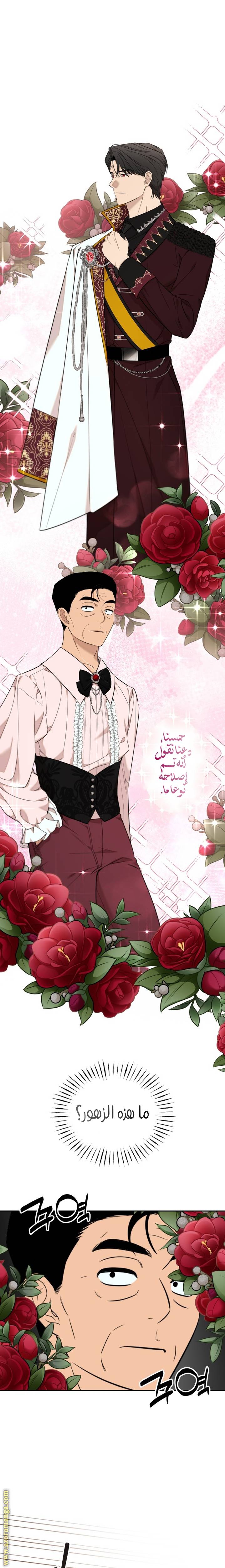 الصفحة 13