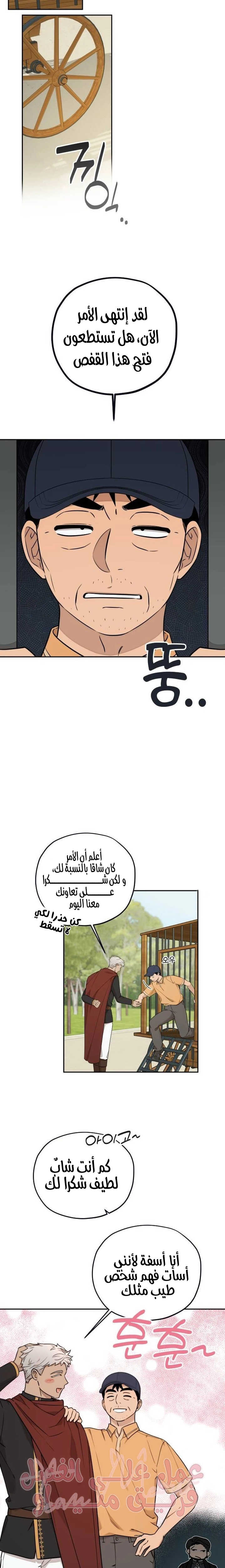 الصفحة 17