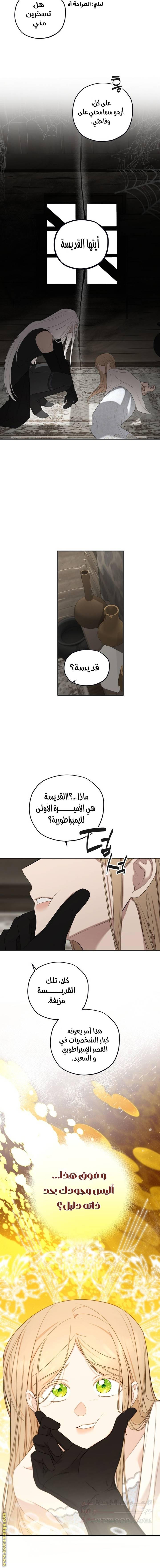 الصفحة 11