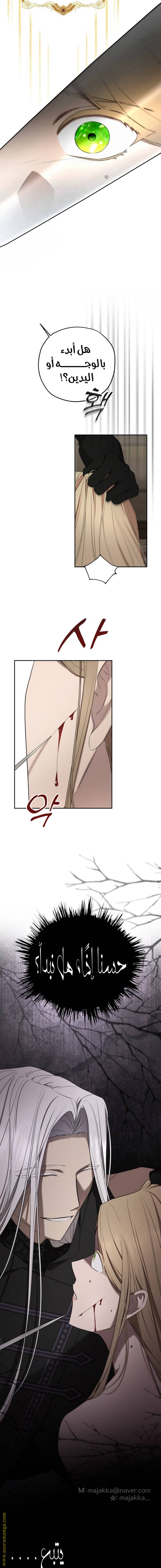 الصفحة 13