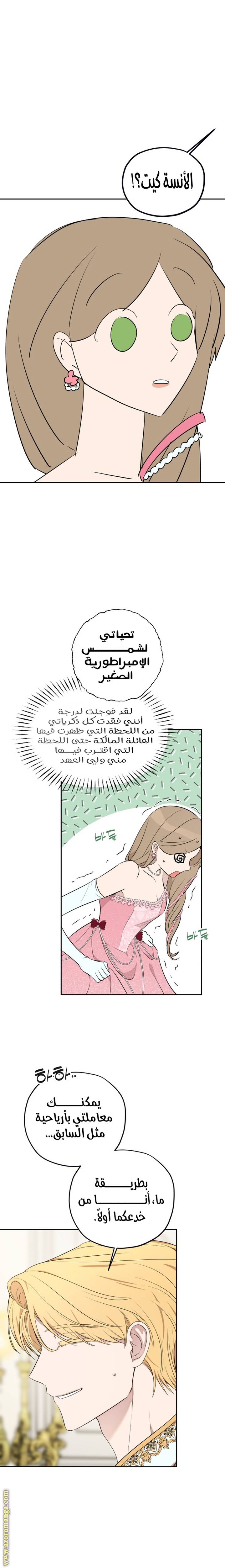 الصفحة 11