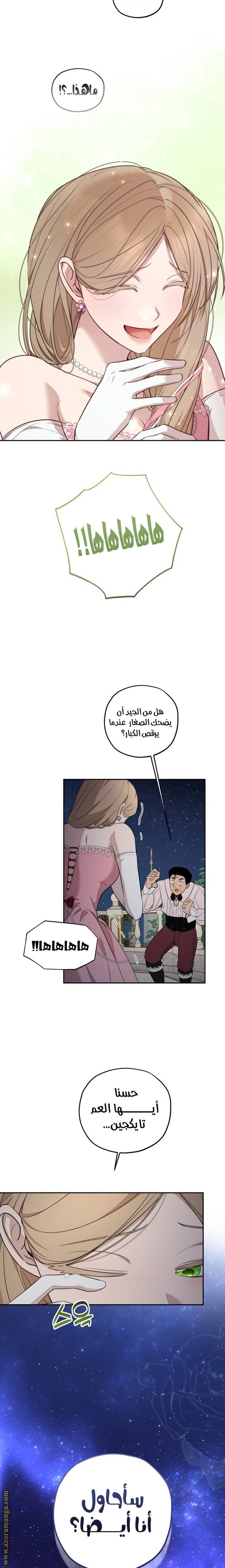 الصفحة 17