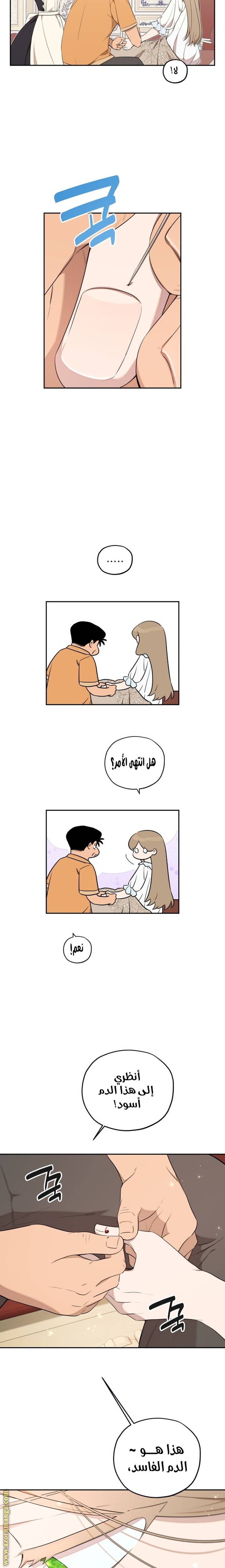 الصفحة 11